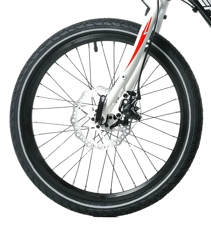 GAMP 20" BOY