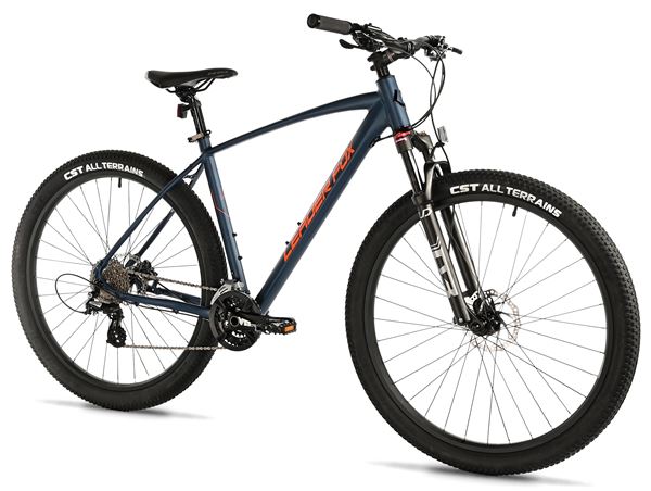 EVOLUTION, MTB 29", M:2025-2