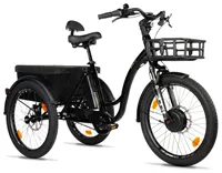 TRICYCLE CURTIS X