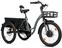 TRICYCLE CURTIS X