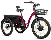 TRICYCLE CURTIS X
