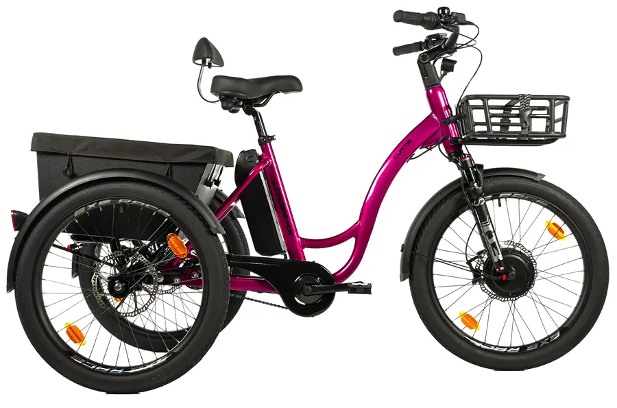 TRICYCLE CURTIS X
