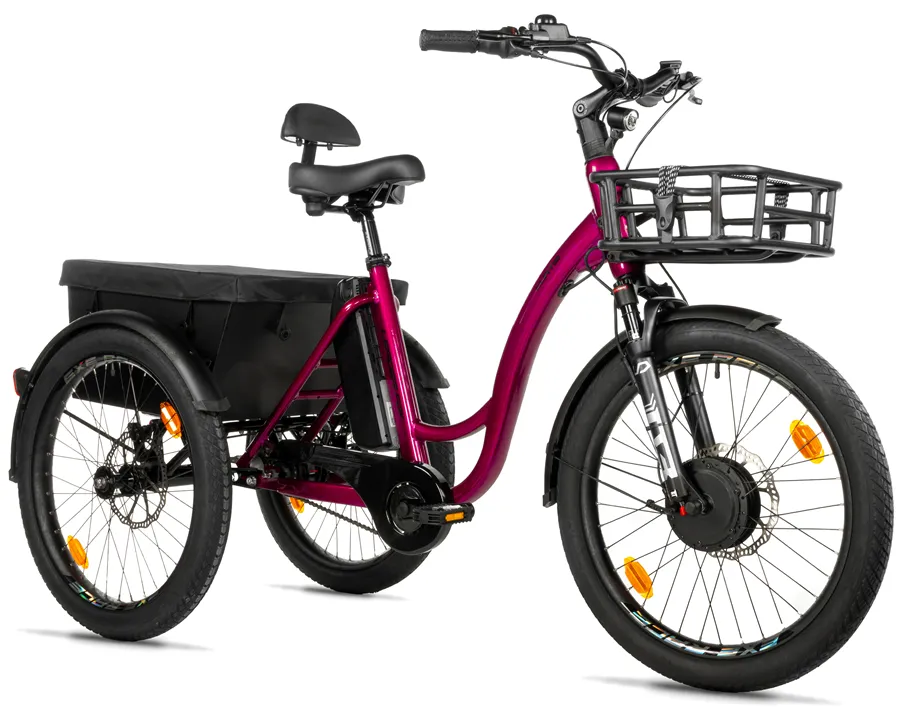 TRICYCLE CURTIS X