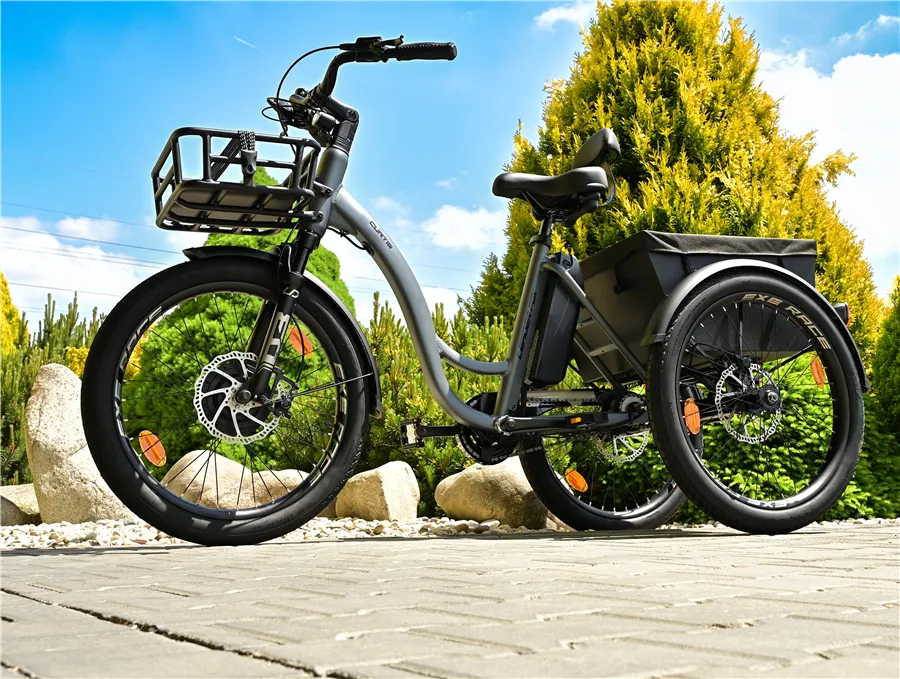 TRICYCLE CURTIS X