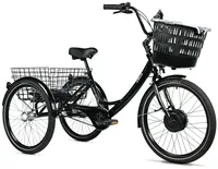 TRICYCLE BORMIO
