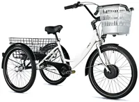 TRICYCLE BORMIO