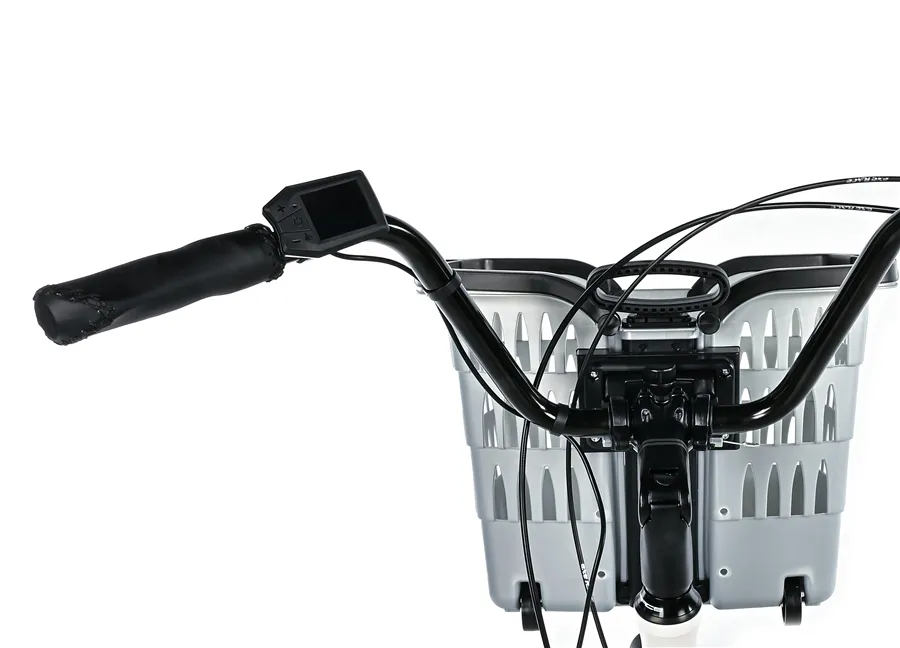 TRICYCLE BORMIO