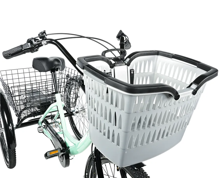 TRICYCLE BORMIO