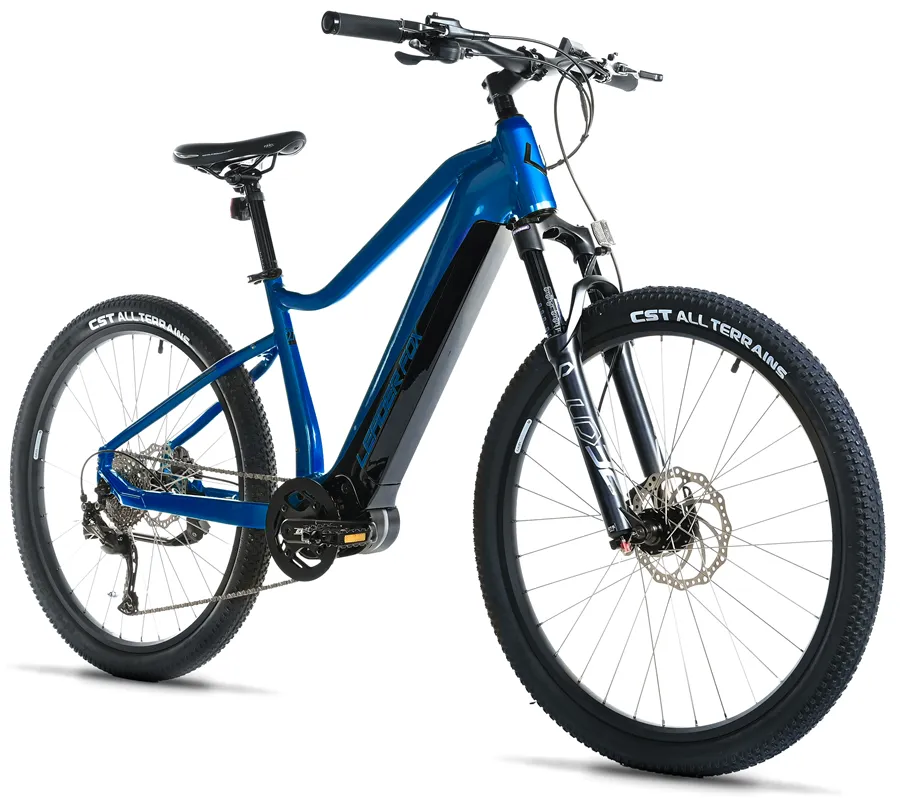 SWAN 29" GENT