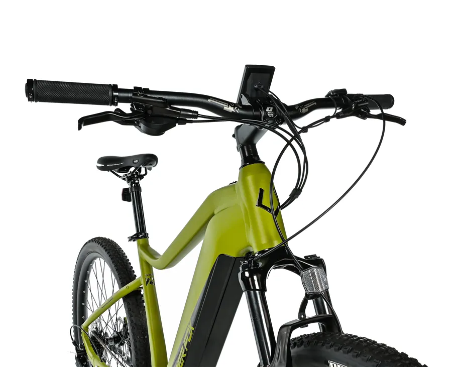 AWALON 29" GENT