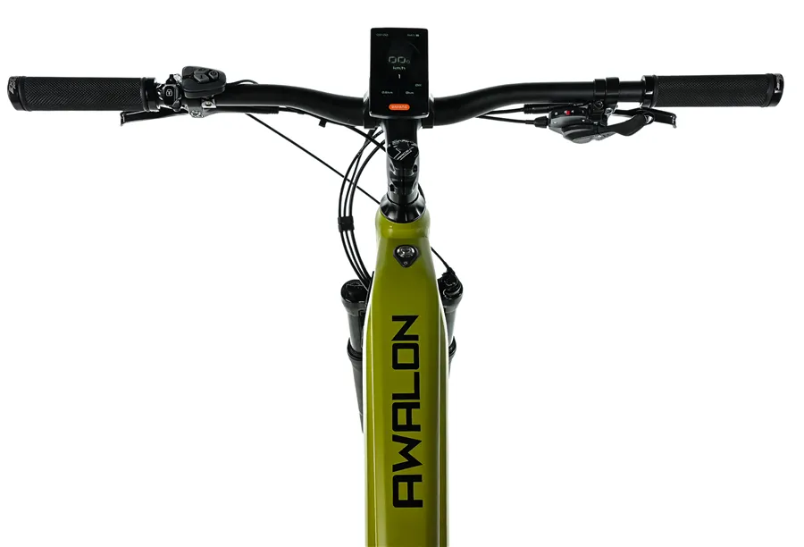 AWALON 29" GENT