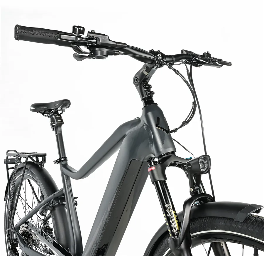 LUCAS 28" GENT