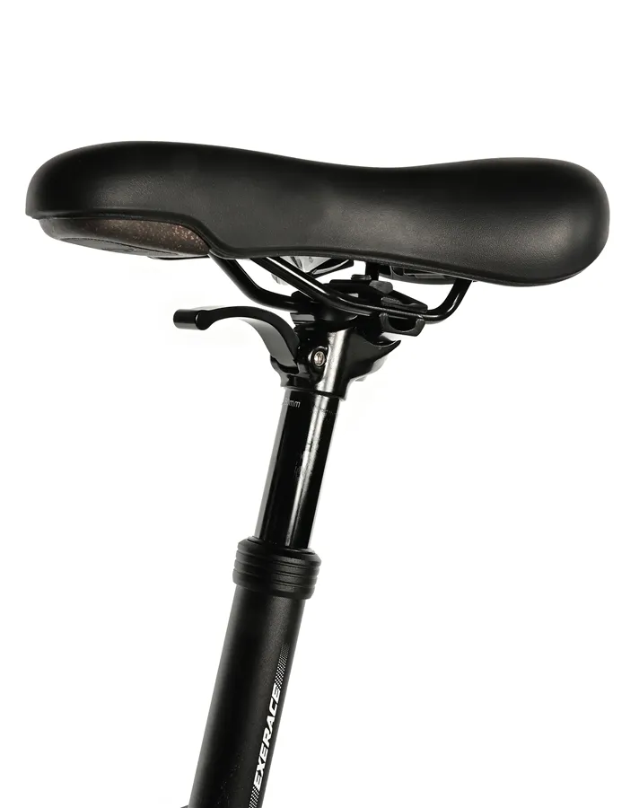 TRION 29"