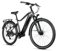 EXETER 28" GENT