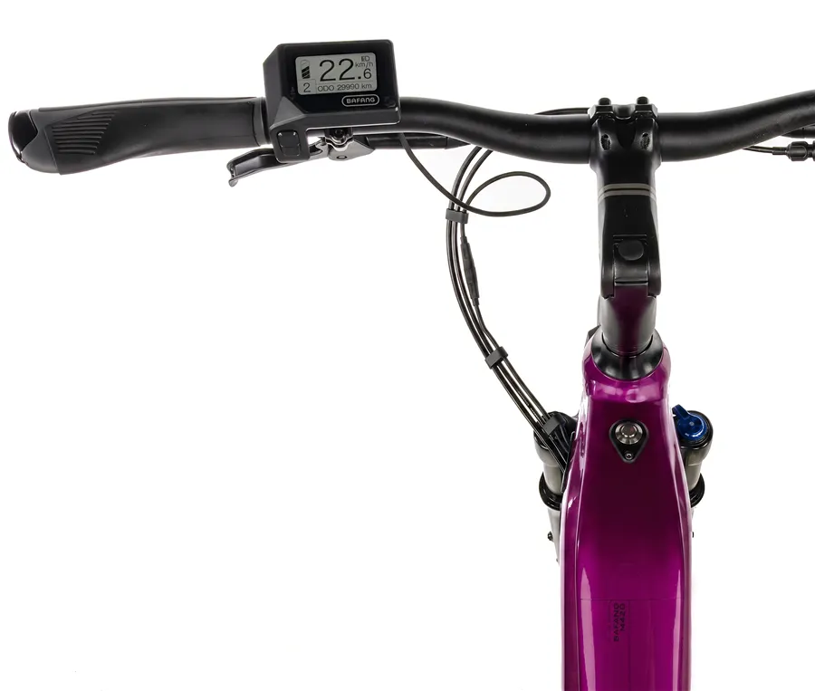 EXETER 28" LADY